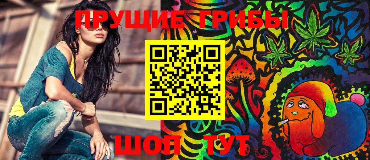 Чебоксары  Галлюциногенные грибы Psilocybe  Вход с VPN 