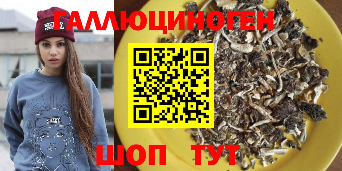 Псилоцибиновые грибы Psilocybe Чебоксары